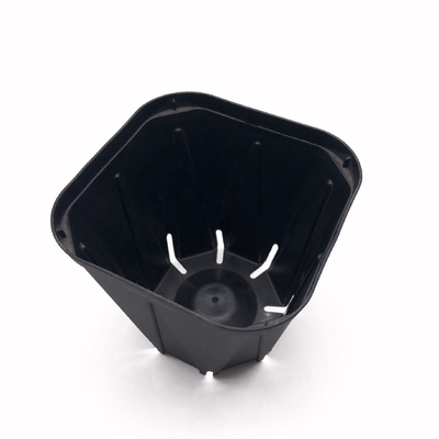 Ventes entières durables pot de semis en plastique noir petit pot de pépinière de forme carrée