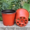 cactus supérieur de 15cm Dia Disposable Plastic Flower Pots planteur de 5 gallons