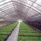 maille recyclable de fabrication de jardin de Sunblock de filet d'ombre de pépinière de 300gsm 98%