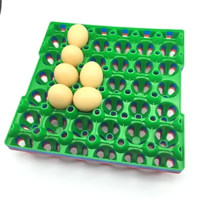 plateau carré en plastique empilable d'arrangement d'oeufs d'incubateur du support 152mm des oeufs 9pcs