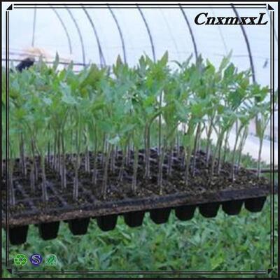 2 mm d'épaisseur 32 50 98 108 118 200 cellules plateau de semis en plastique pour les arbres forestiers - résistant au vieillissement et durable