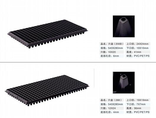 Bacs de semis en plastique 200 alvéoles - Épaisseur 2 mm et résistant au vieillissement pour une propagation durable des plantes