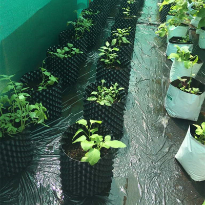 Nouveau design pots de plantation de fleurs à l'air Pot de racine à taille jetable