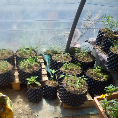 Nouveau design pots de plantation de fleurs à l'air Pot de racine à taille jetable