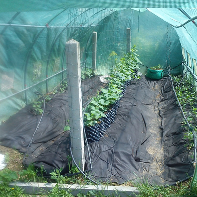 Nouveau design pots de plantation de fleurs à l'air Pot de racine à taille jetable