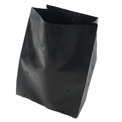 Système de culture hydroponique sacs de culture en plastique doux générer une péniche de fleurs de pivoine