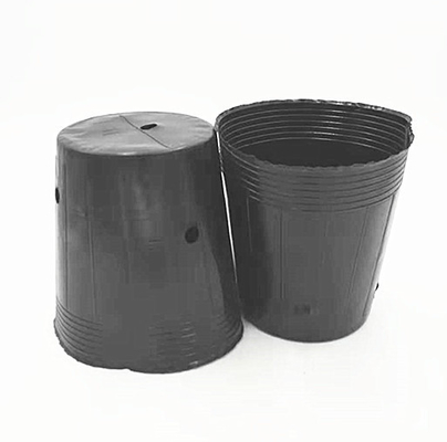 Pot de pépinière en plastique chromé Semences d'orchidées en culture de pots noirs pour serre
