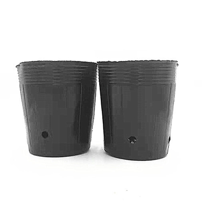 Pot de pépinière en plastique chromé Semences d'orchidées en culture de pots noirs pour serre