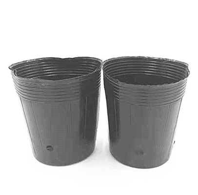 Pot de pépinière en plastique chromé Semences d'orchidées en culture de pots noirs pour serre