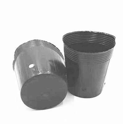 Pâtisserie en plastique HDPE Graines d'oignon pour faire pousser des pots noirs en serre