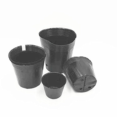 Vente en gros de graines de fleurs en plastique noir moelleux