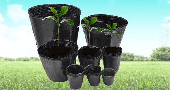 Pot hydroponique en plastique souple pot de plante au cresson poids léger