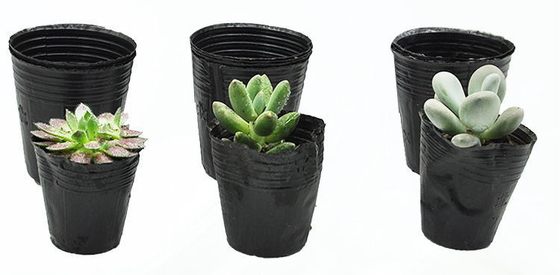 Pot hydroponique en plastique souple pot de plante au cresson poids léger