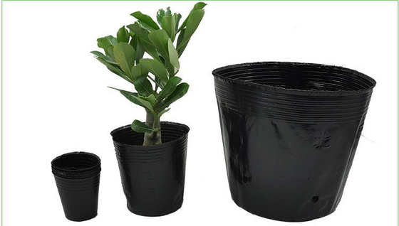 Pot hydroponique en plastique souple pot de plante au cresson poids léger