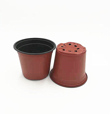 Pot de fleurs jetable à double couleur pour serre et jardin