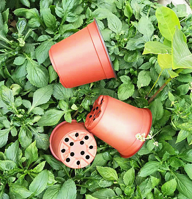 Pot de fleurs jetable à double couleur pour serre et jardin