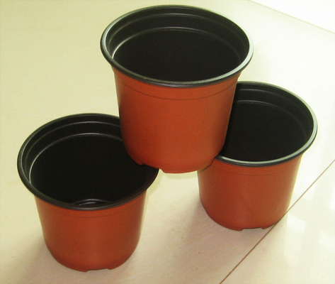 Vente à chaud Boîte ronde souple hydroponique Fresh Flower Pot Résistant au vieillissement