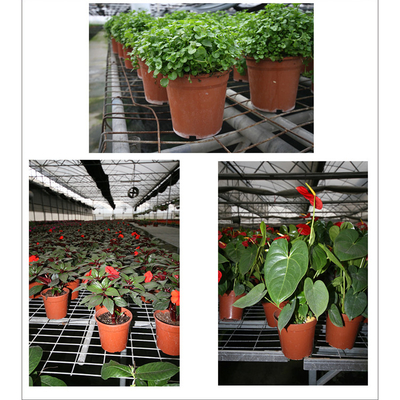 Des pots de fleurs en plastique doubles couleurs noirs et clairs