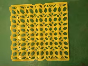 Plaque sous vide thermoformée en plastique jaune coloré en ampoules Emballage d'œufs Transport 30 Emballage d'œufs