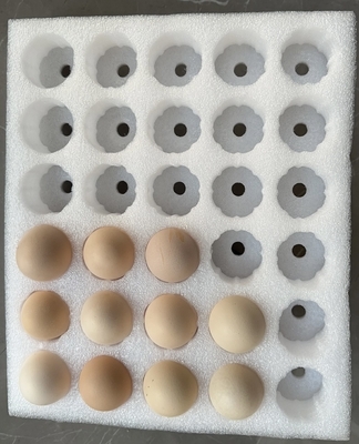 EPE plateau à œufs Produits fragiles Perle coton emballage protection personnalisée