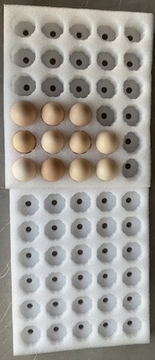 Protéger les emballages contre les chocs en EPS légers et en PPE Produits fragiles Protection des emballages en coton perle