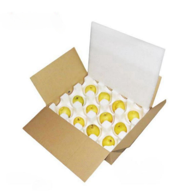 Protection contre les bulles de protection contre les produits fragiles EPS