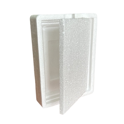 Protection personnalisée des emballages pour les articles fragiles, emballages personnalisés en EPS, emballages en mousse personnalisés