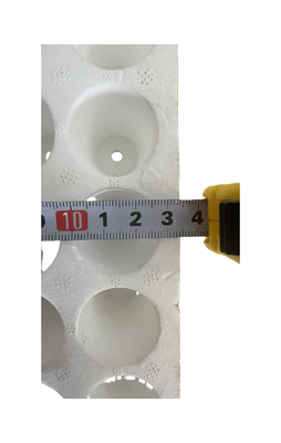 160 trous trou rond plateau de semis en mousse plateau de semis en EPS personnalisation