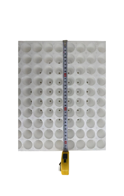 160 trous trou rond plateau de semis en mousse plateau de semis en EPS personnalisation