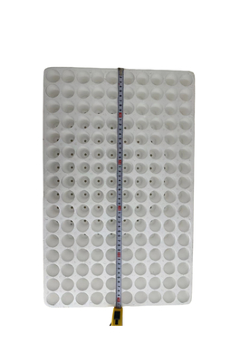 160 trous trou rond plateau de semis en mousse plateau de semis en EPS personnalisation