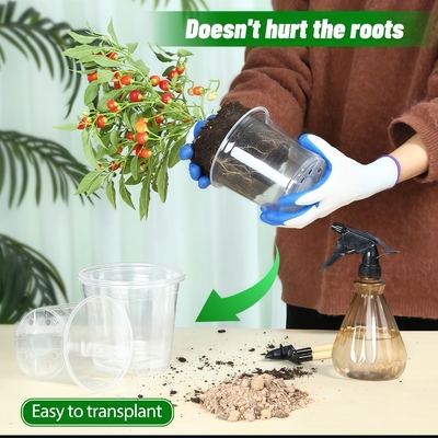 Un pot d'orchidées transparent avec revêtement résistant aux UV
