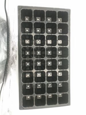 Plate de semis en plastique de 32 cellules, 2 mm d'épaisseur, pour arbres forestiers - Résistante au vieillissement et durable