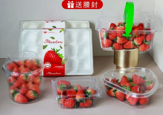 Boîte d'emballage personnalisable en PET recyclable pour fruits avec thermoscellage pour tomates et produits