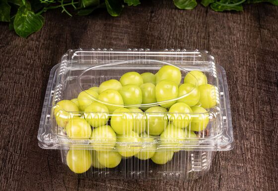 Boîte d'emballage de fruits en PET recyclable de conception personnalisée avec étanchéité thermique pour le stockage transparent des fruits