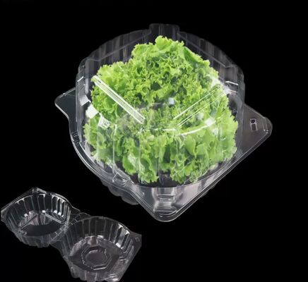 Customized Design Recyclable PET Heat Sealing Fruit Packaging Box Plastic Blister Packaging