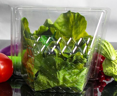 Emballage blister en plastique PET recyclable au design personnalisé avec thermoscellage pour boîte d'emballage de fruits