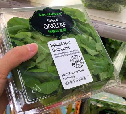 Customized Design Recyclable PET Packaging Box with Heat Sealing for Fresh Vegetables and Fruits