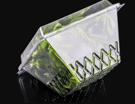 Emballage blister en plastique PET recyclable au design personnalisé avec thermoscellage pour boîte d'emballage de fruits