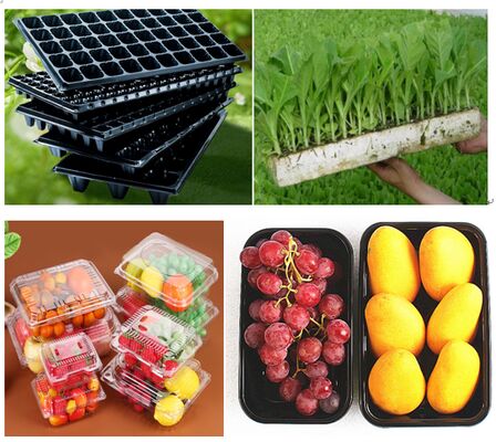 Customized Design Recyclable PET Heat Sealing Fruit Packaging Box for Tomato and Blueberry