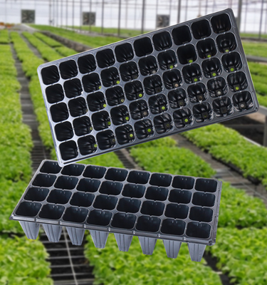 Plateaux de semis en gros, plateaux de semis, boîtes de semis pour légumes, conteneurs de semis en plastique, boîtes de coupe de semis, plateaux et pots agricoles