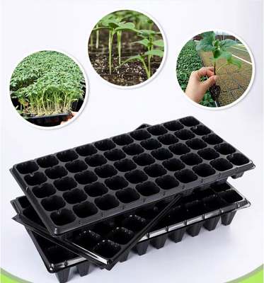 Sowing trays, forest tree sowing trays, deepening sowing trays, seedlings of succulent plants, vegetables, plastic seedling trays, sowing pot trays, cultivation pot trays