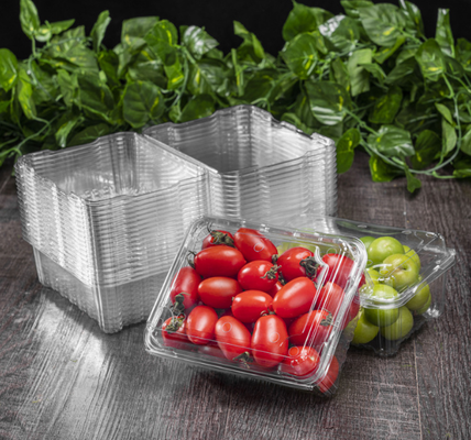 produit des emballages en plateaux à fruits, des boîtes d'emballage de viande, des boîtes d'emballage de légumes, des plateaux de semis, des pots de fleurs en plastique, des boîtes de restauration rapide, ainsi que des boîtes transparentes en PVC, en PP, en PET et des boîtes imprimées.