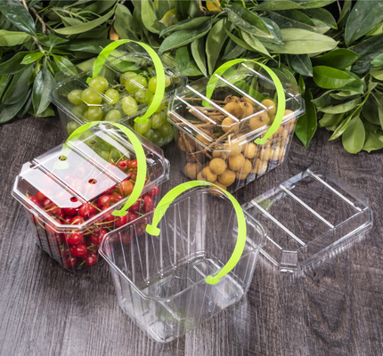 Boîtes en plastique pour fruits, plateaux de fruits, boîtes d'emballage de viande, boîtes d'emballage de légumes, boîtes de restauration rapide, boîtes de biscuits, boîtes de gâteaux, ainsi que boîtes transparentes et boîtes imprimées.