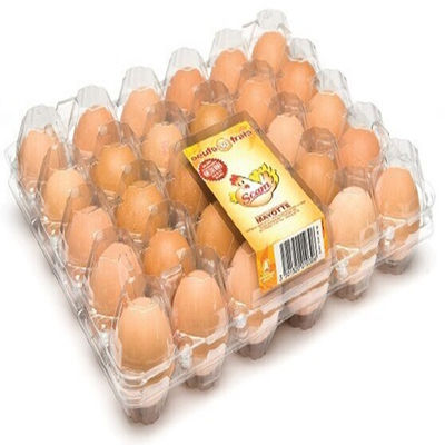 Plateau en plastique commode d'incubateur d'oeufs de transport de carton d'oeufs de PVC de 8pcs 0.7mm