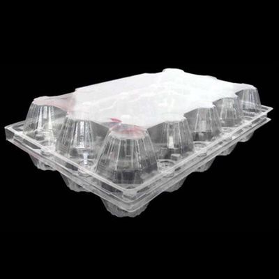 oeuf carré en plastique clair Tray Holder du plateau 71mm d'oeufs de l'ANIMAL FAMILIER 15packs jetable